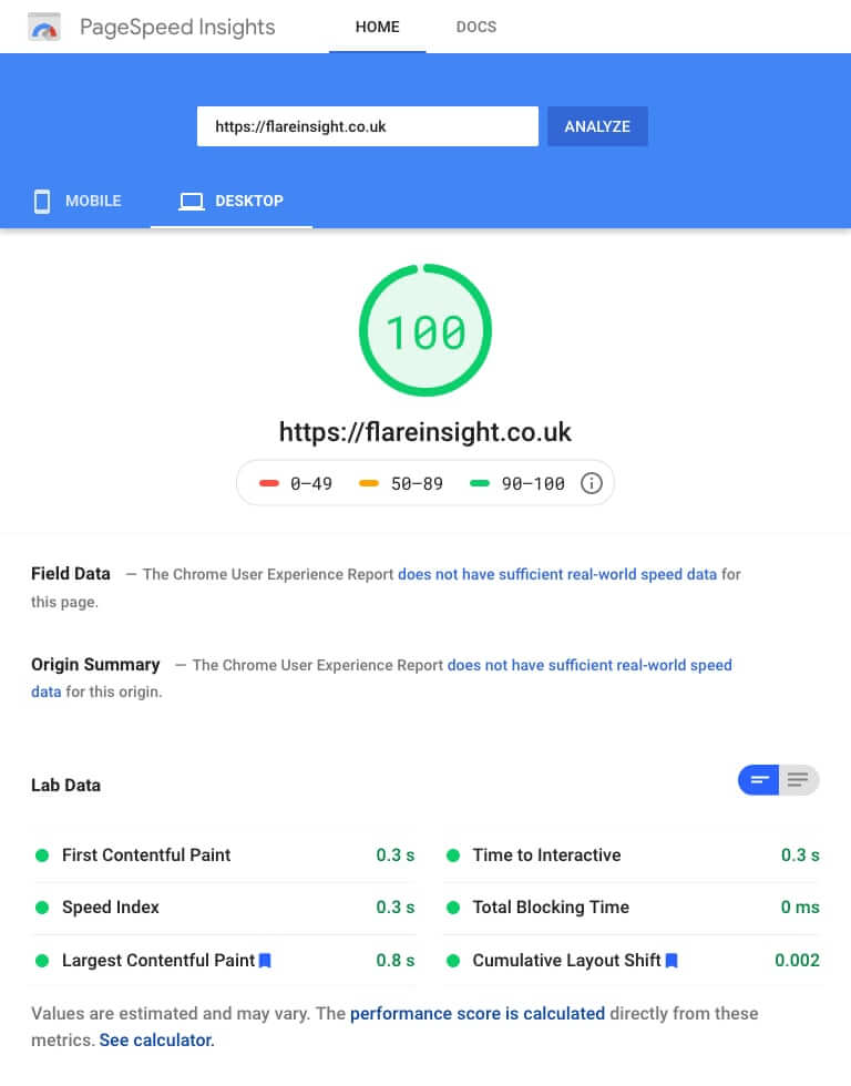 Mobile Page Speed Insights score for the homepage - 100